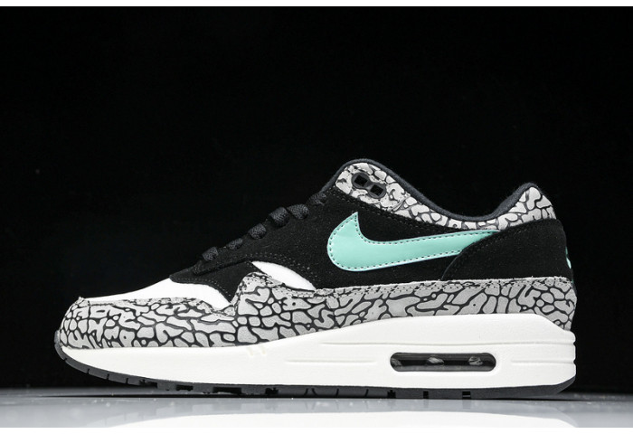 nike air max 1 preM1vm 908366-001