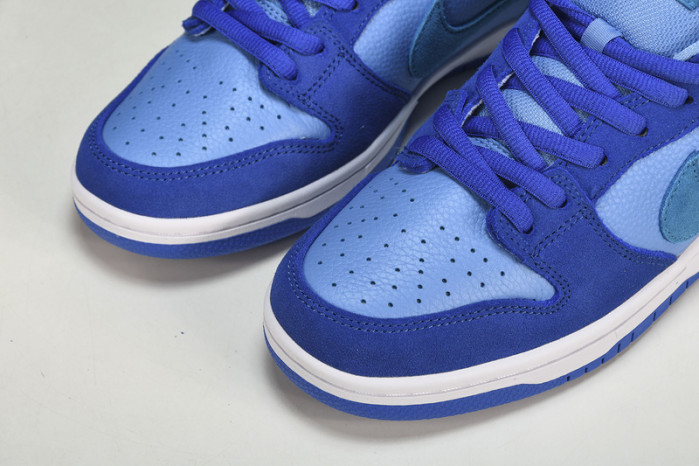 nike sb dunk low pro dm0807-400