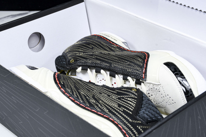 Titan x Air Jordan 23 CZ6222-001