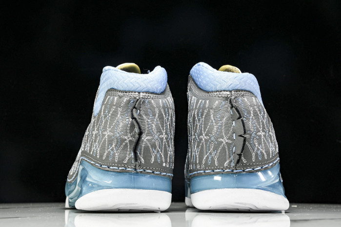 Air Jordan 23 UNC 318376-0011