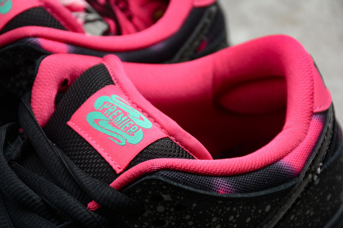 nike dunk sb low premier "N0*Hern lights" - 724183-063