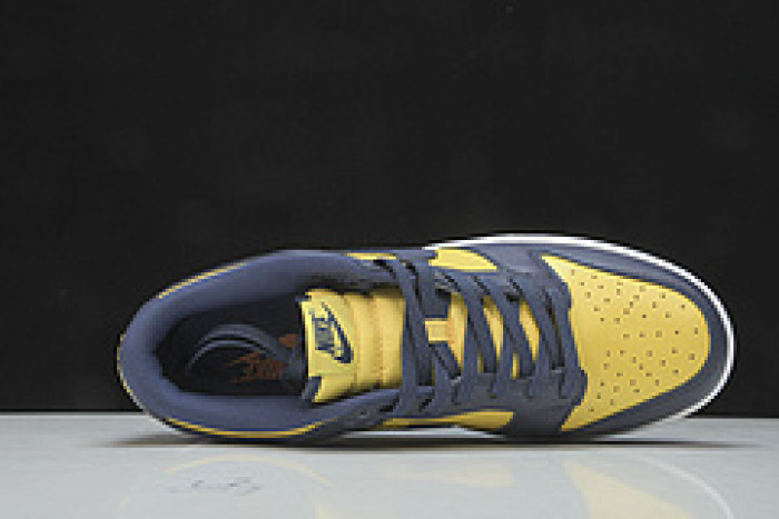 nike dunk low “michigan” dd1391-700