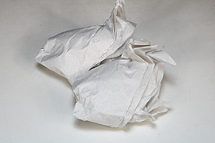 nike dunk low dd1391-100 xl