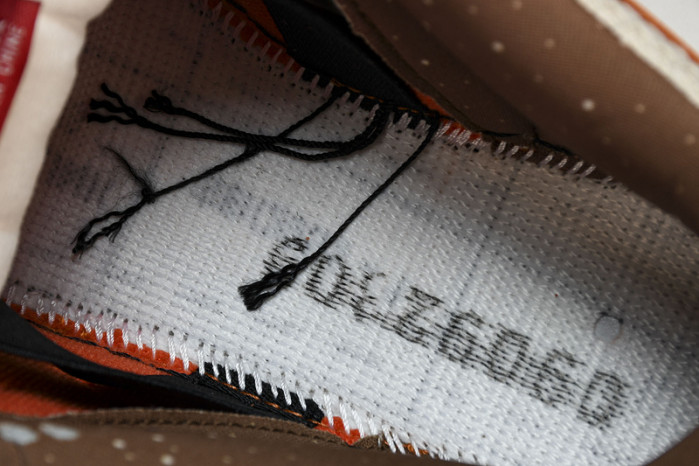 nike sb dunk low top ramen 313170-101