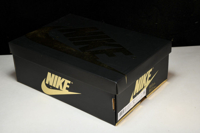 jordan 1 retro high og palomino dz5485-020