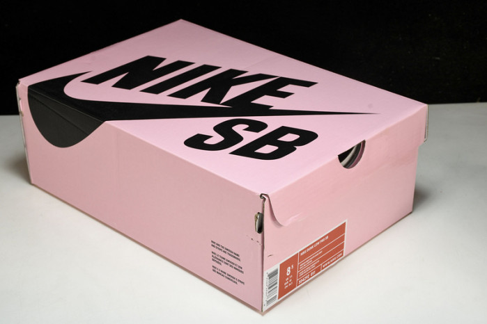 nike sb dunk low staple nyc pigeon 304292-011